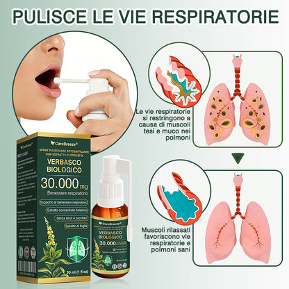 ✅Negozio Ufficiale: CareBreeze® Spray Pulmonare Detossificante con Estratto di Foglie di Verbasco Biologico（👨‍⚕️Agisce direttamente su BPCO, asma, bronchite cronica (CB), infezioni respiratorie, cancro ai polmoni, sinusite e altre condizioni）