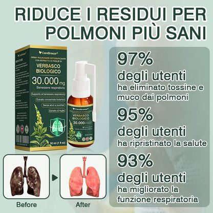 ✅Negozio Ufficiale: CareBreeze® Spray Pulmonare Detossificante con Estratto di Foglie di Verbasco Biologico（👨‍⚕️Agisce direttamente su BPCO, asma, bronchite cronica (CB), infezioni respiratorie, cancro ai polmoni, sinusite e altre condizioni）