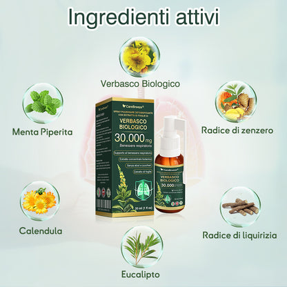 ✅Negozio Ufficiale: CareBreeze® Spray Pulmonare Detossificante con Estratto di Foglie di Verbasco Biologico（👨‍⚕️Agisce direttamente su BPCO, asma, bronchite cronica (CB), infezioni respiratorie, cancro ai polmoni, sinusite e altre condizioni）